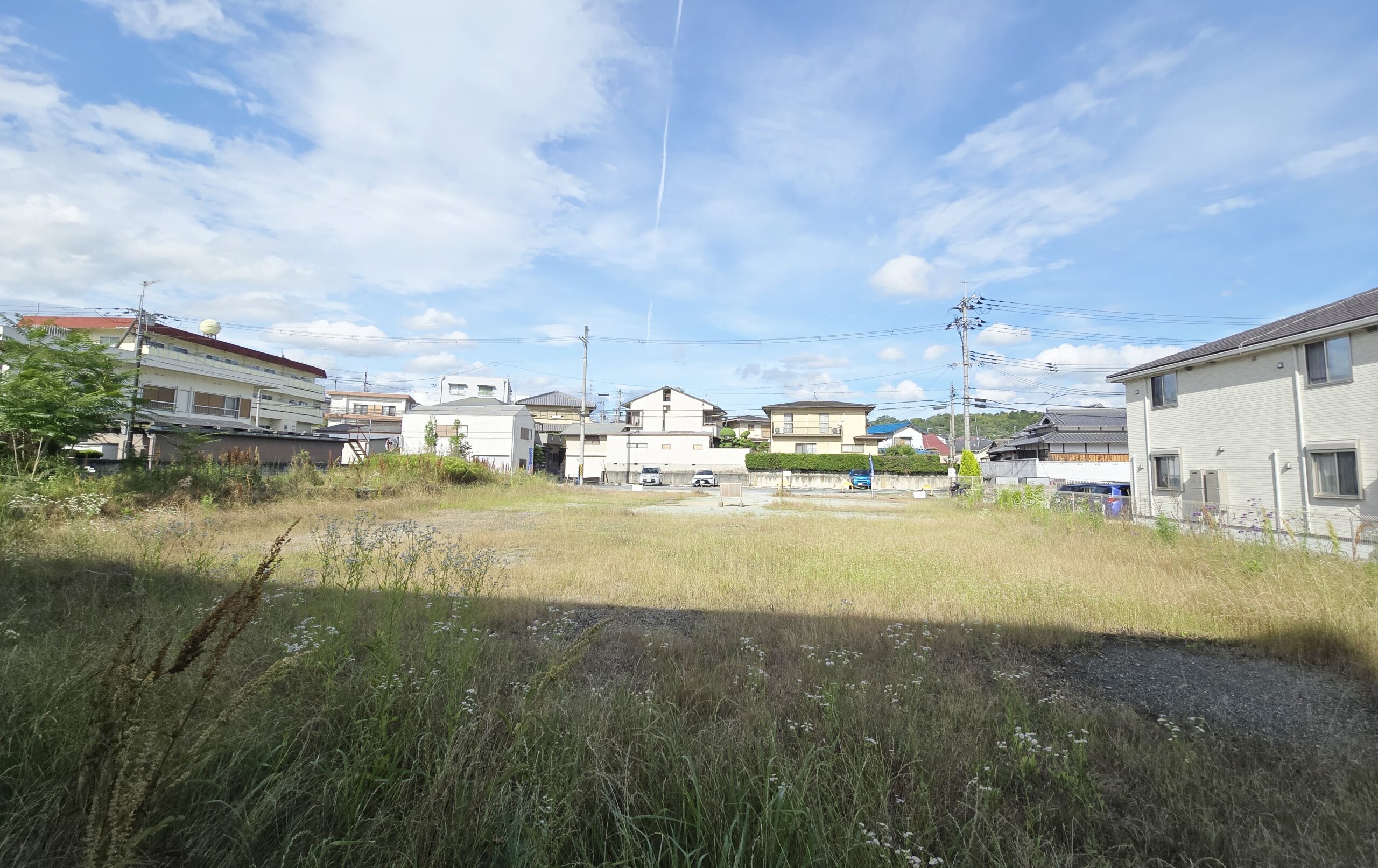 胡麻生344-1貸土地2